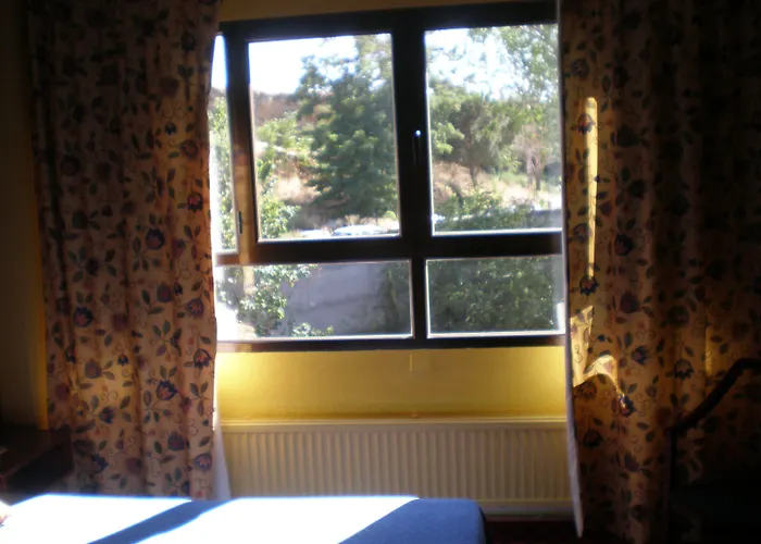 酒店 科雷希多酒店 2*